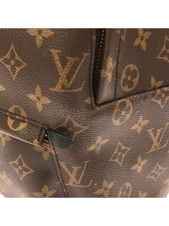 Louis Vuitton Monogram Palm Springs Backpack MM